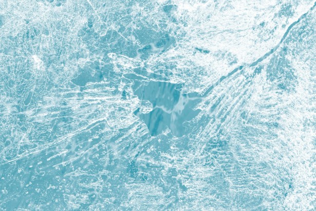 Si vous avez été victime de gel en avril dernier, vous pouvez faire votre demande d'indemnisation en Saône-et-Loire. 