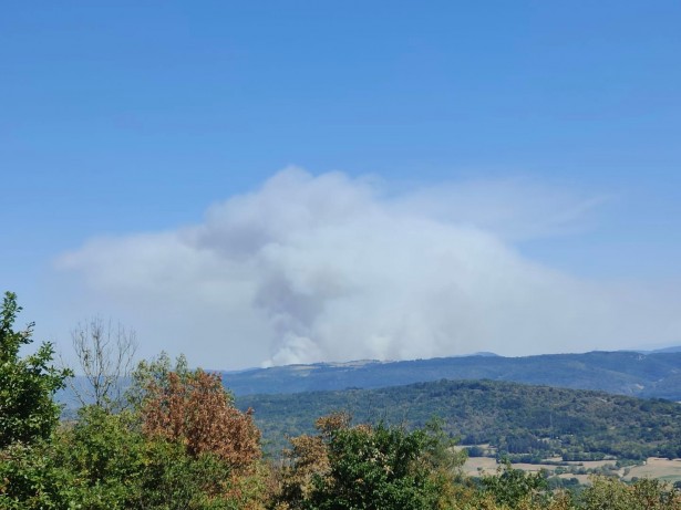 40 hectares de végétation ont déjà brûlé et 30 hectares sont menacés. 